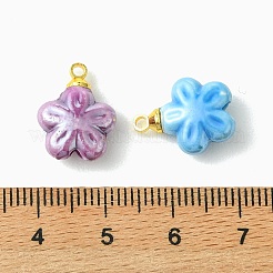 Handmade Porcelain Charms&nbsp;PALLOY-JF05939