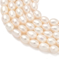 Natural Cultured Freshwater Pearl Beads Strands&nbsp;PEAR-D003-01D-15