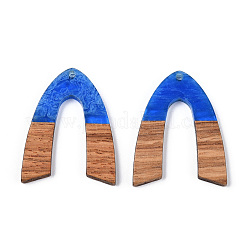 Transparent Resin & Walnut Wood Pendants&nbsp;RESI-ZX017-37