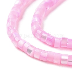 Natural Trochus Shell Dyed Beads Strands&nbsp;BSHE-E030-10C