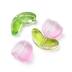 30Pcs 2 Style Transparent Glass Beads&nbsp;GLAA-YW0001-85