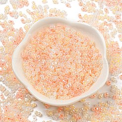 Ceylon Glass Seed Beads&nbsp;SEED-K009-02B-41