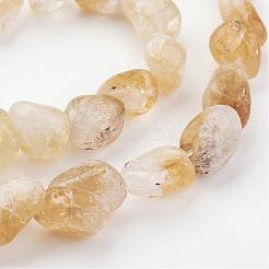 Natural Citrine Bead Strands&nbsp;G-G950-S-07