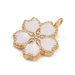 304 Stainless Steel Pendants Ion Plating(IP)&nbsp;LS-STAS-C143-01C-G