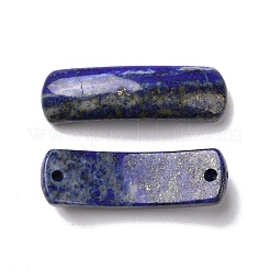 Natural Lapis Lazuli Connector Charms&nbsp;G-D460-02H