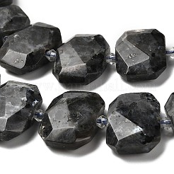 Natural Larvikite Beads Strands&nbsp;G-H078-B06-01