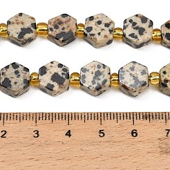 Natural Dalmatian Jasper Beads Strands&nbsp;G-F833-B06-01