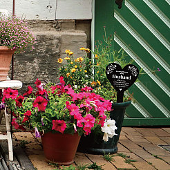 Acrylic Garden Stake&nbsp;AJEW-WH0365-008