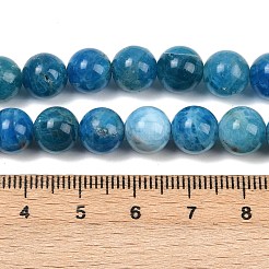 Natural Apatite Beads Strands&nbsp;G-P591-A01-01