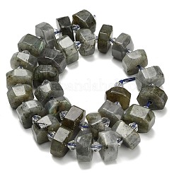 Natural Labradorite Beads Strands&nbsp;G-L642-H05-01