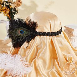 Alloy & Rubber & Rhinestone & Feathers & Seed Glass & Plastic Headbands&nbsp;OHAR-WH20011-15A