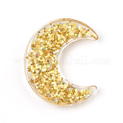 Transparent Resin Cabochons&nbsp;CRES-T008-10B