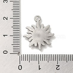 Non-Tarnish 304 Stainless Steel Pendants&nbsp;X-STAS-R223-09