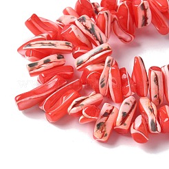 Dyed Natural Trochus Shell Beads Strands&nbsp;SSHEL-C013-09D