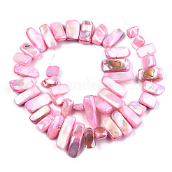 Natural Freshwater Shell Beads Strands&nbsp;X-SHEL-N026-123B