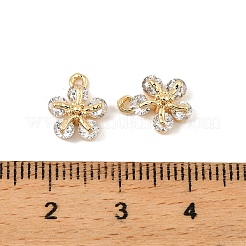 Brass Micro Pave Cubic Zirconia Charms&nbsp;KK-C155-04G-01