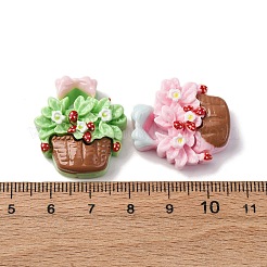Opaque Resin Cabochons&nbsp;CRES-V001-03