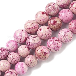 Natural Fossil Graduated Beads Strands&nbsp;G-F830-A03-01B