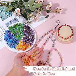 2 Bags Imitation Artificial Crystal Glass Beads&nbsp;GLAA-SZ0001-95B-05