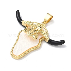 Brass Enamel Pendants&nbsp;KK-C165-04G