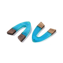 Resin & Wood Pendants&nbsp;WOOD-F015-16F