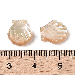 Natural Trochus Shell Carved Beads&nbsp;SHEL-P017-08A