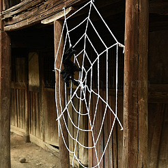 Cotton Spider Web for Holiday Party Decorations&nbsp;DIY-WH20048-056D