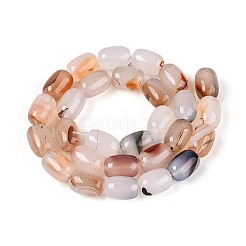 Natural Red Agate Beads Strands&nbsp;G-T144-44F
