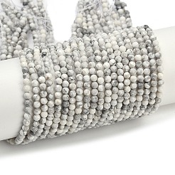 Natural Howlite Beads Strands&nbsp;G-C181-B03-02