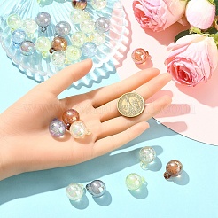 30Pcs Transparent Acrylic Pendants&nbsp;OACR-YW0003-43