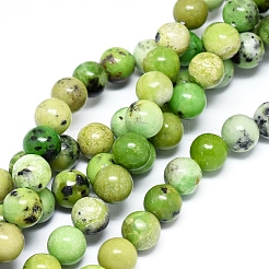 Natural Serpentine Beads Strands&nbsp;G-F576-01-6mm