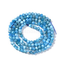 Natural Apatite Beads Strands&nbsp;G-P542-A06-02