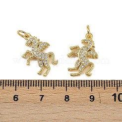 Brass Micro Pave Cubic Zirconia Pendants&nbsp;KK-I358-037G