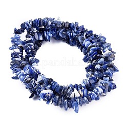 Natural Sodalite Chips Beads Strands&nbsp;X-F024