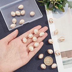 1 Strand Electroplate Shell Pearl Beads Strands&nbsp;BSHE-NB0001-21