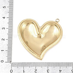 304 Stainless Steel Pendants&nbsp;STAS-Z180-02G