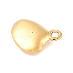 304 Stainless Steel Charms&nbsp;STAS-Q351-14G-A