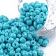 Baking Paint Glass Seed Beads&nbsp;SEED-S003-K10-1