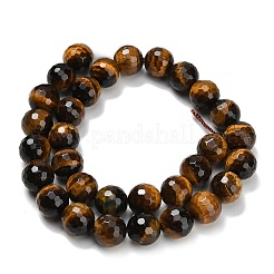 Natural Tiger Eye Beads Strands&nbsp;G-C280-B21-12mm