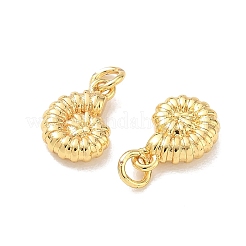 Brass Charms&nbsp;KK-E797-03C-G