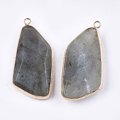 Natural Labradorite Pendants&nbsp;G-T112-20B