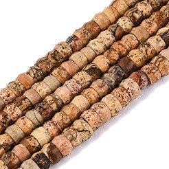 Natural Picture Jasper Beads Strands&nbsp;G-Q606-46A-14