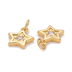 Brass Micro Pave Clear Cubic Zirconia Charms&nbsp;KK-Z023-17G