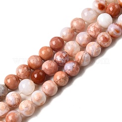 Natural Pink Agate Beads Strands&nbsp;G-K350-C02-6mm
