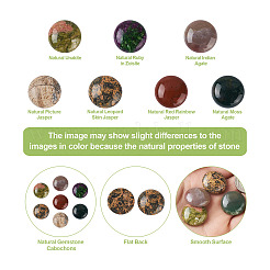 14Pcs 7 Styles Natural Mixed Stone Cabochons&nbsp;G-FW0001-38