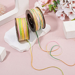 2 Rolls 2 Colors Segment Dyed Round Polyester Twisted Cords&nbsp;OCOR-TA0003-65A