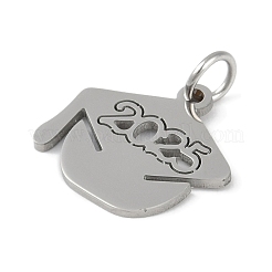 Non-Tarnish 304 Stainless Steel Pendants&nbsp;STAS-L279-016P