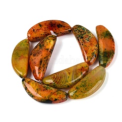 Natural Multi-Color Agate Beads Strands&nbsp;G-Q606-72