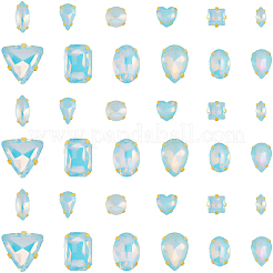 Glass Steel Claw Sew on Rhinestone&nbsp;FIND-WH20040-07G-02