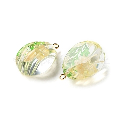Inner Dried Flower Transparent Resin Pendants&nbsp;LS-RESI-A043-06A
